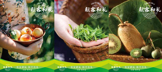 和平縣區域公用品牌建設