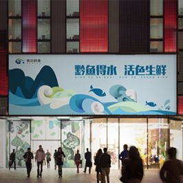 貴州黔魚海報設計